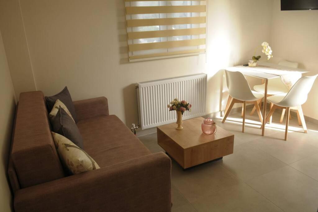 Lividio Apartment Лефкада Экстерьер фото